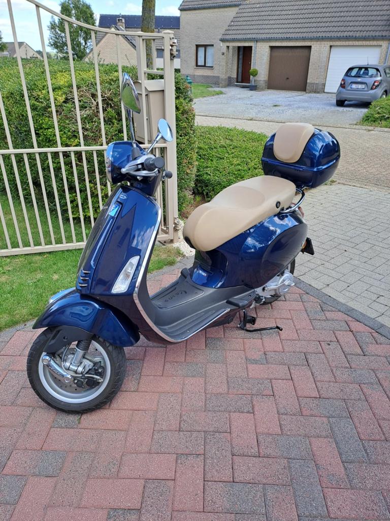 Vespa primavera., Enlèvement