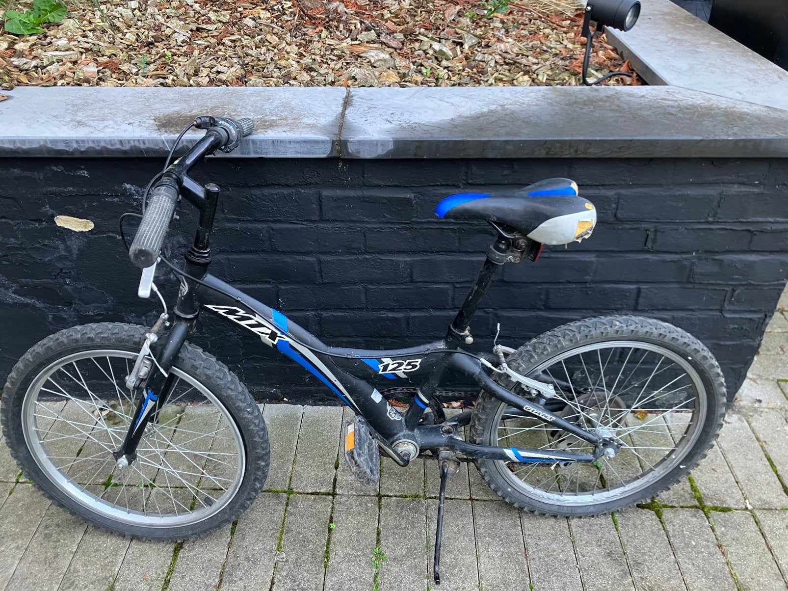 VTT Giant 20 pouces 6/9 ans, Enlèvement, Utilisé, Frein sur jante, 20 pouces ou plus