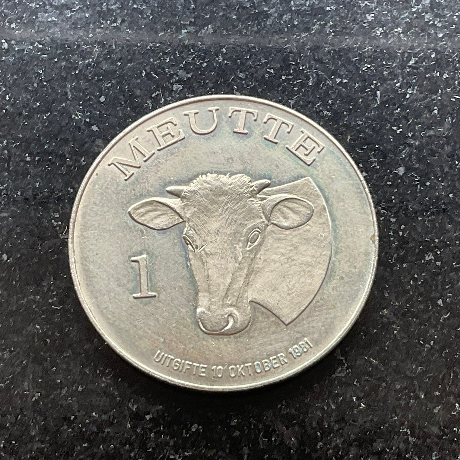 Breendonk - rare insigne municipal avec vache - 1981, Enlèvement, Autres matériaux