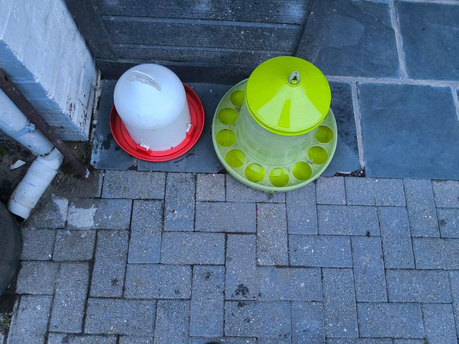 Eet en drinkbak voor kippen, Dieren en Toebehoren, Ophalen