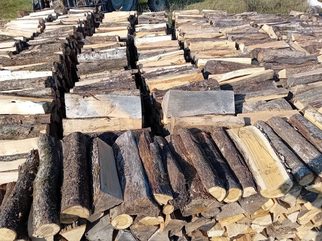 Bois de chauffage sec, 3 à 6 m³, Enlèvement ou Envoi, Hêtre, Bûches