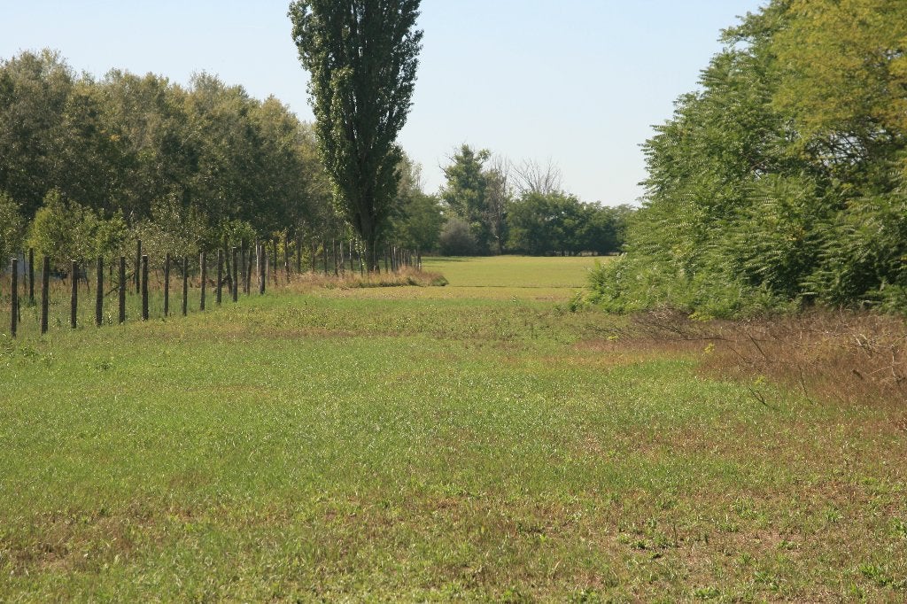 Tiszakecske Hongarije 1 ha grond voor woning bouw., Immo, Étranger, Campagne, 115 m², Tiszakecske, Ventes sans courtier
