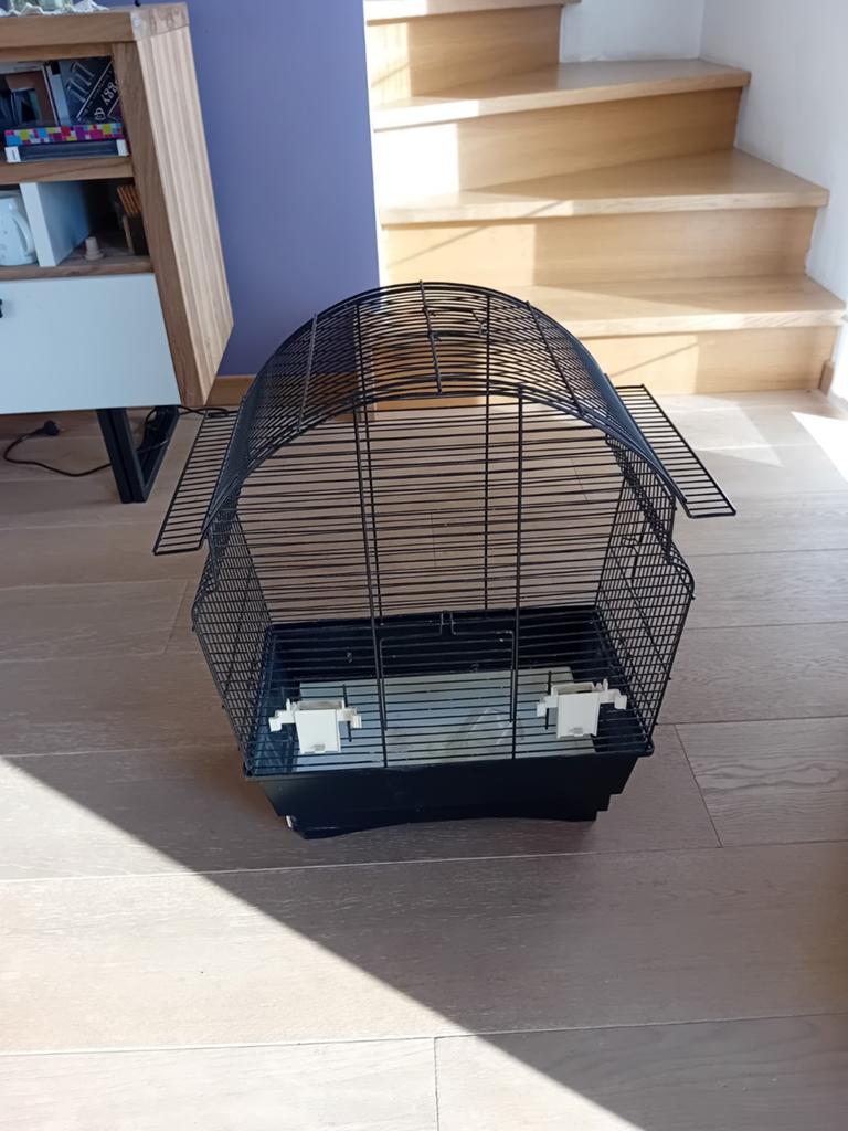 Cage à oiseaux, Animaux & Accessoires, Enlèvement, Cage à oiseaux