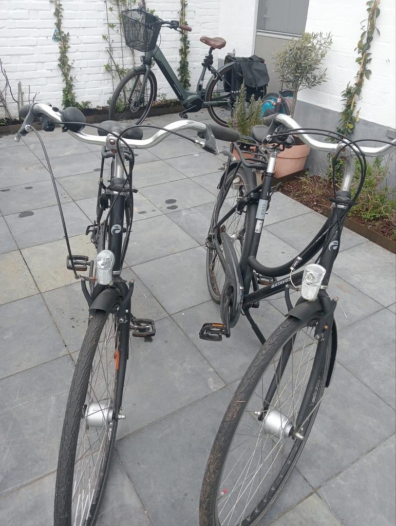 Batavus damesfietsen 4 versnellingen, Enlèvement, Batavus