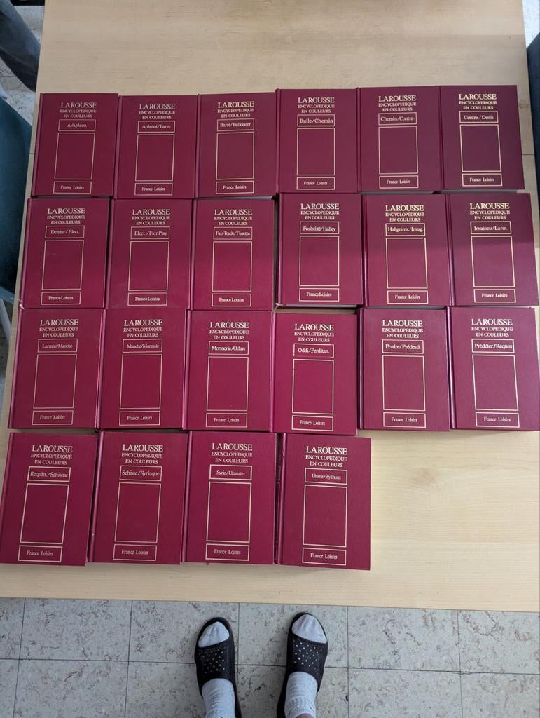 Dictionnaire Larousse, Livres, Encyclopédies, Enlèvement