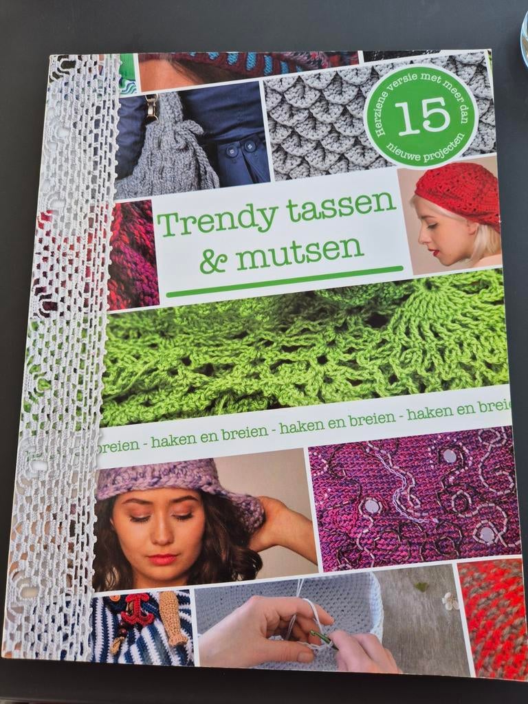 Boek Trendy tassen en mutsen haken en breien, Ophalen of Verzenden