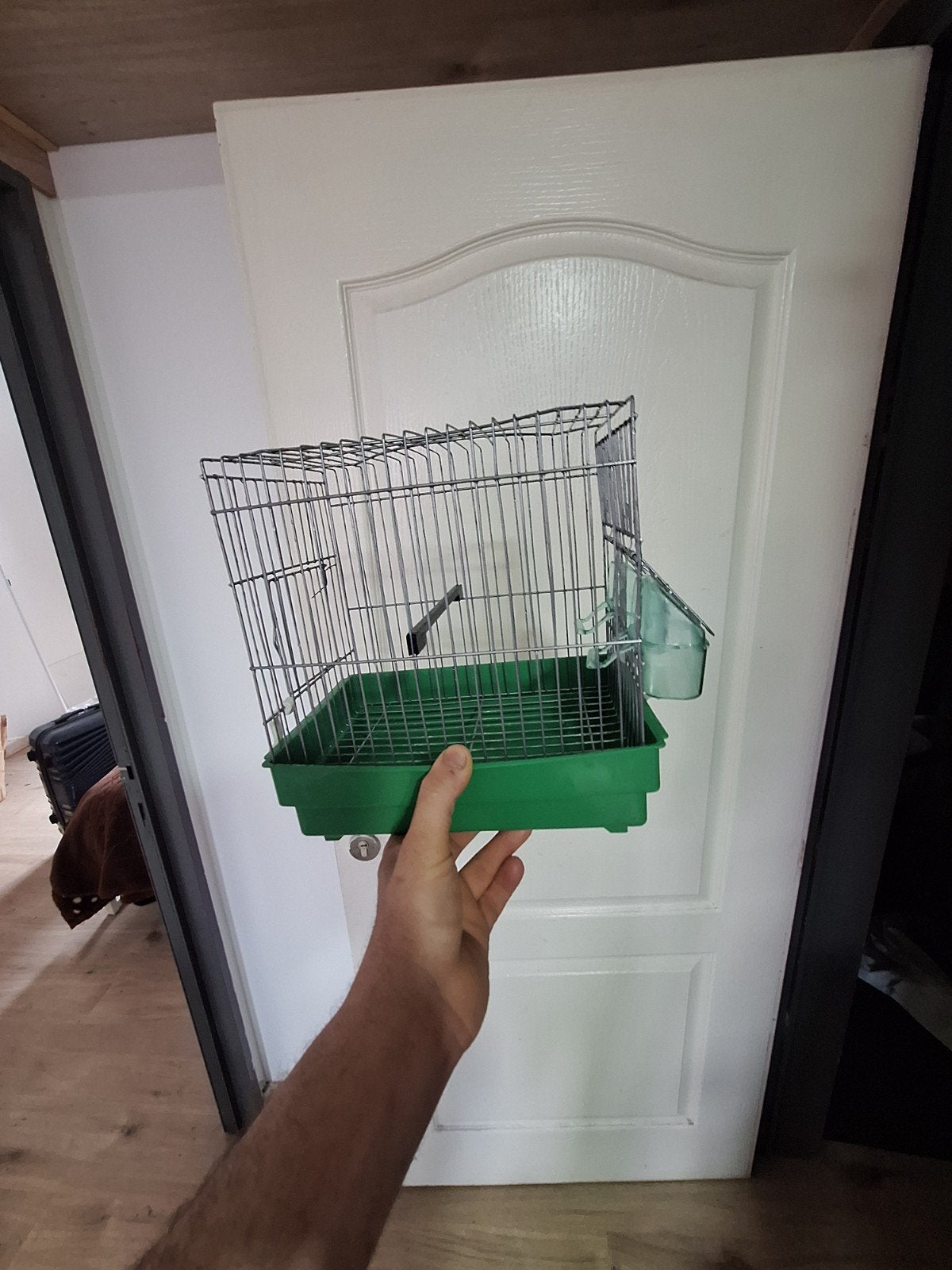 cage oiseaux, Animaux & Accessoires, Oiseaux | Cages & Volières, Neuf, Cage à oiseaux
