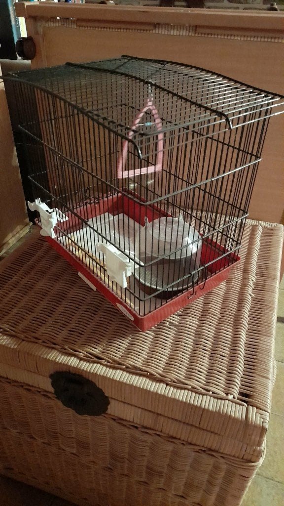 Vogelkooi met accessoires, Dieren en Toebehoren, Ophalen, Gebruikt, Kooi-accessoires