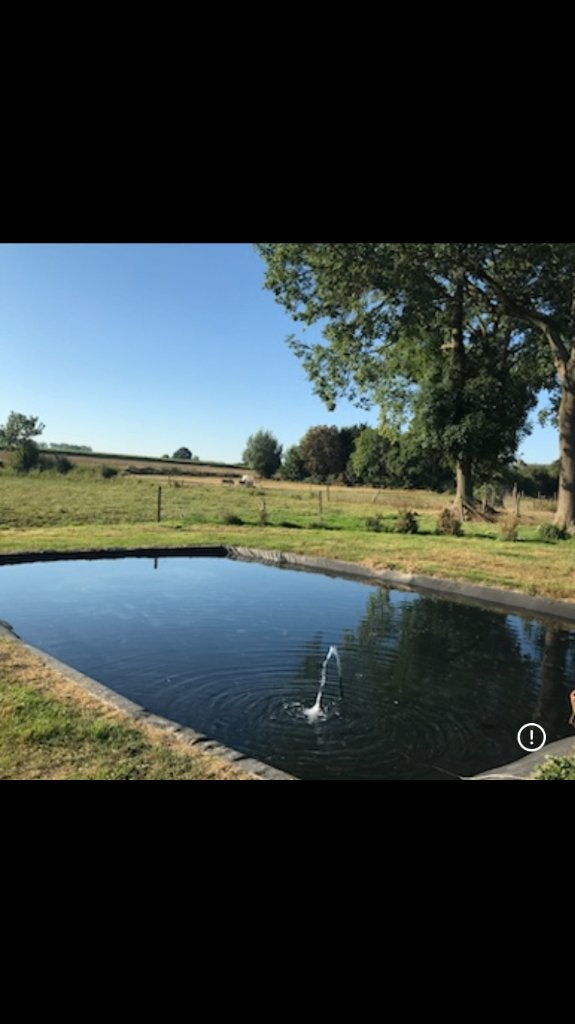 Vijverfolie, Jardin & Terrasse, Étangs, Enlèvement