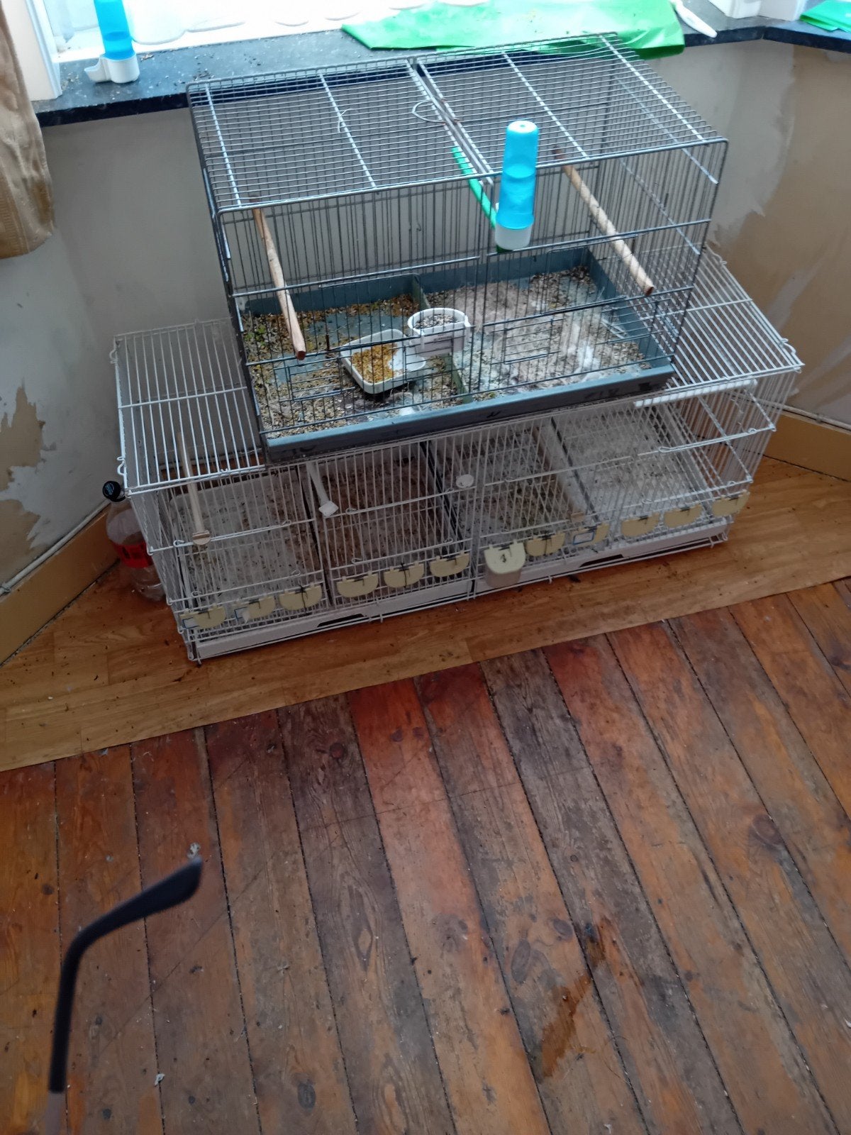 2 ijzeren kweekkooien, Dieren en Toebehoren