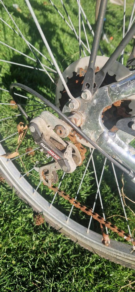Herenfiets, Fietsen en Brommers, Fietsen | Heren | Herenfietsen, Ophalen, Gebruikt, Overige merken, Versnellingen
