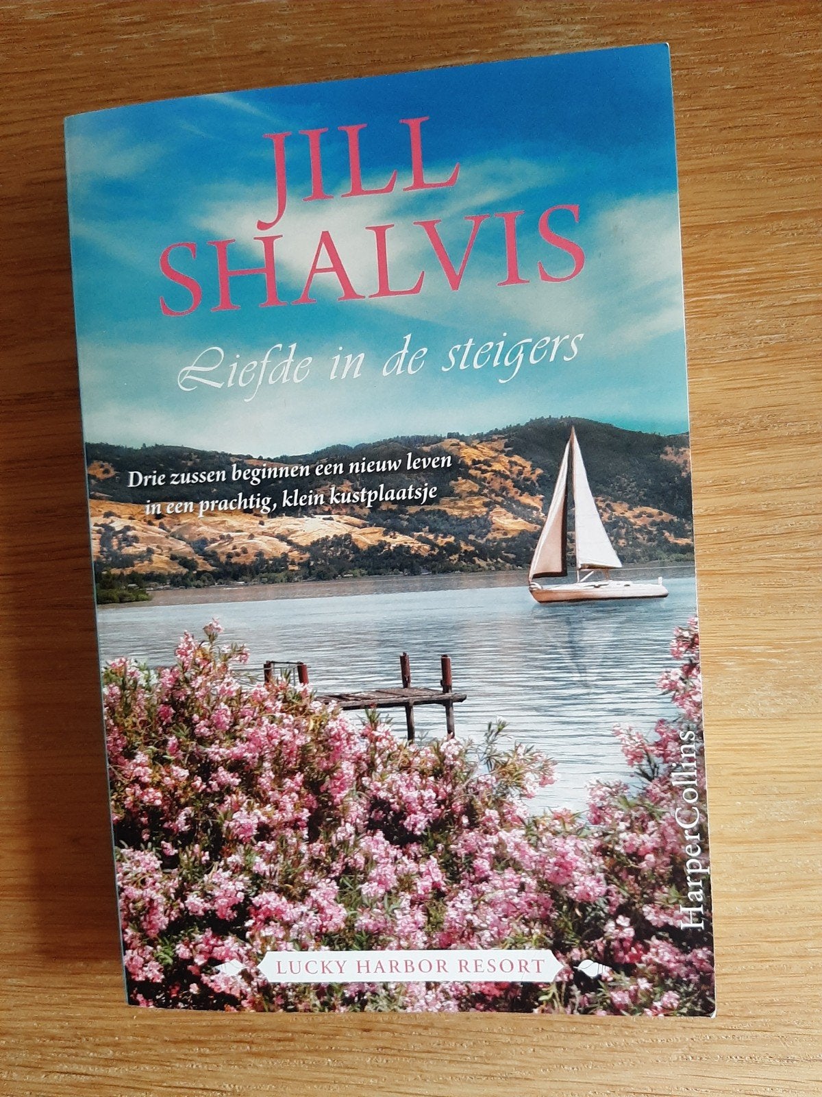Liefde in de steigers - Jill Shalvis, Livres, Romans, Enlèvement