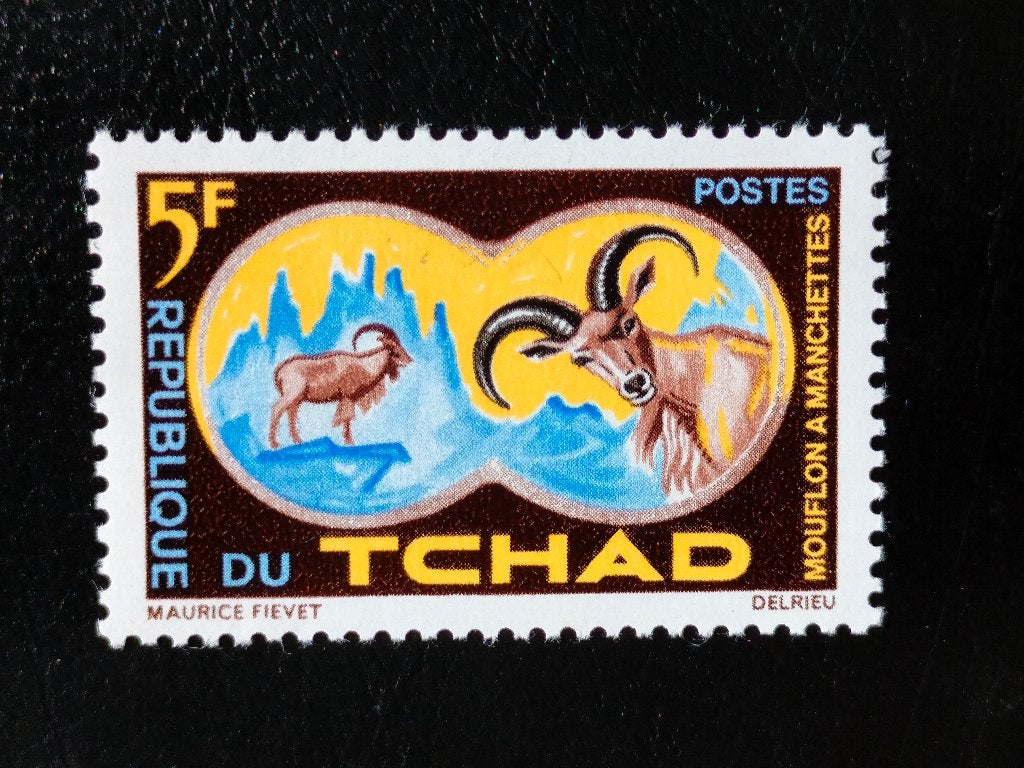 Tchad 1965 - animaux sauvages - Mouflons à manchettes **, Envoi, Autres pays, Non oblitéré