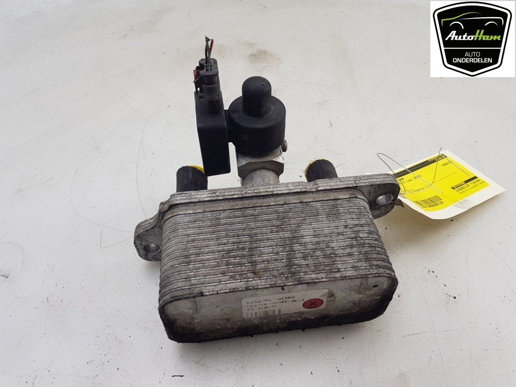 ECHANGEUR THERMIQUE Tesla Model X (|103735700G|103735700F|), Dhr. J. Ham, Administratie@autoham.nl, Utilisé, Autres marques automobiles