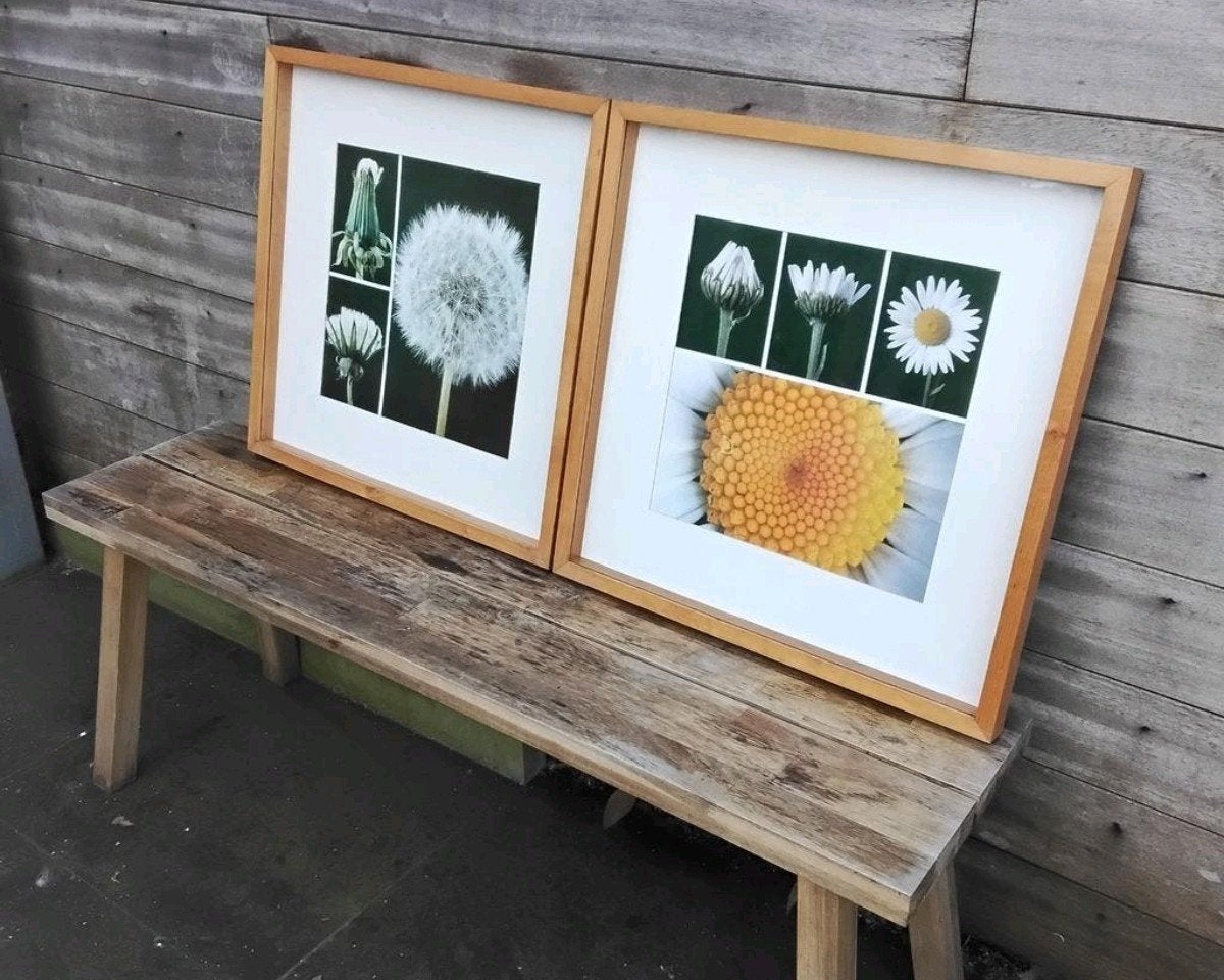 2 cadres carrés en bois pour macrophotographie détaillée | I, Enlèvement ou Envoi, Objet de décoration, Sous verre, Comme neuf
