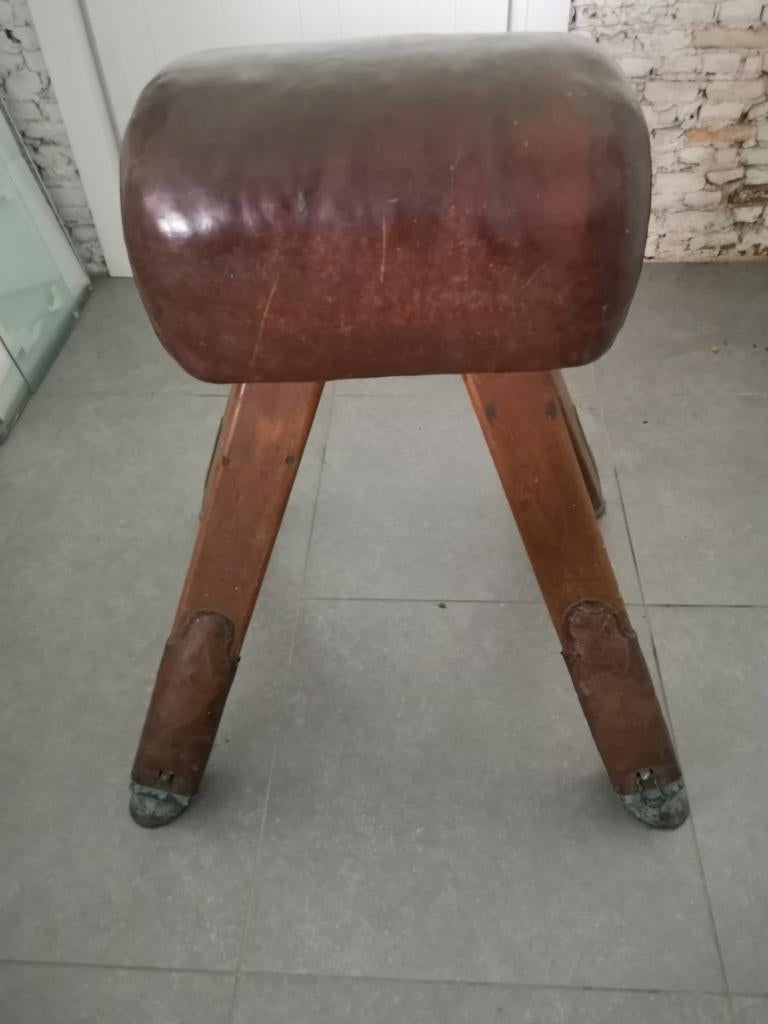 vintage turnbok, Sport en Fitness, Turnen, Ophalen