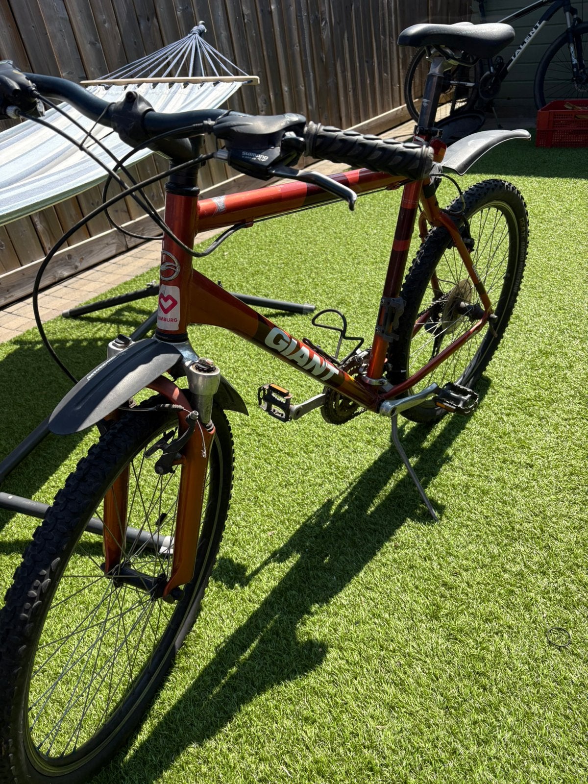 Vélo de montagne géant, Enlèvement, Giant