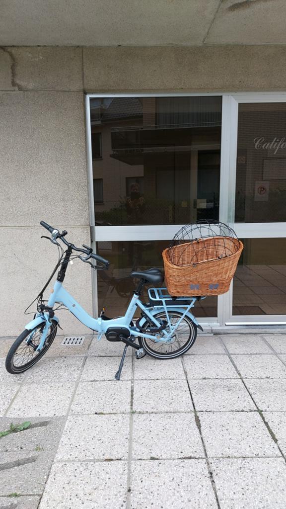 Vélo pliant électrique, Enlèvement