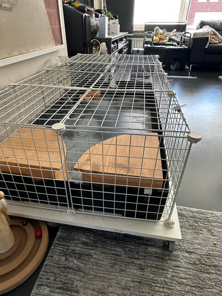 Draadkubus voor cavia wit, Ophalen, Cavia