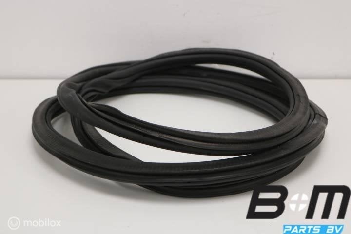 Portierrubber rechtsachter VW Passat B8 Var. 3G9867914K, Utilisé
