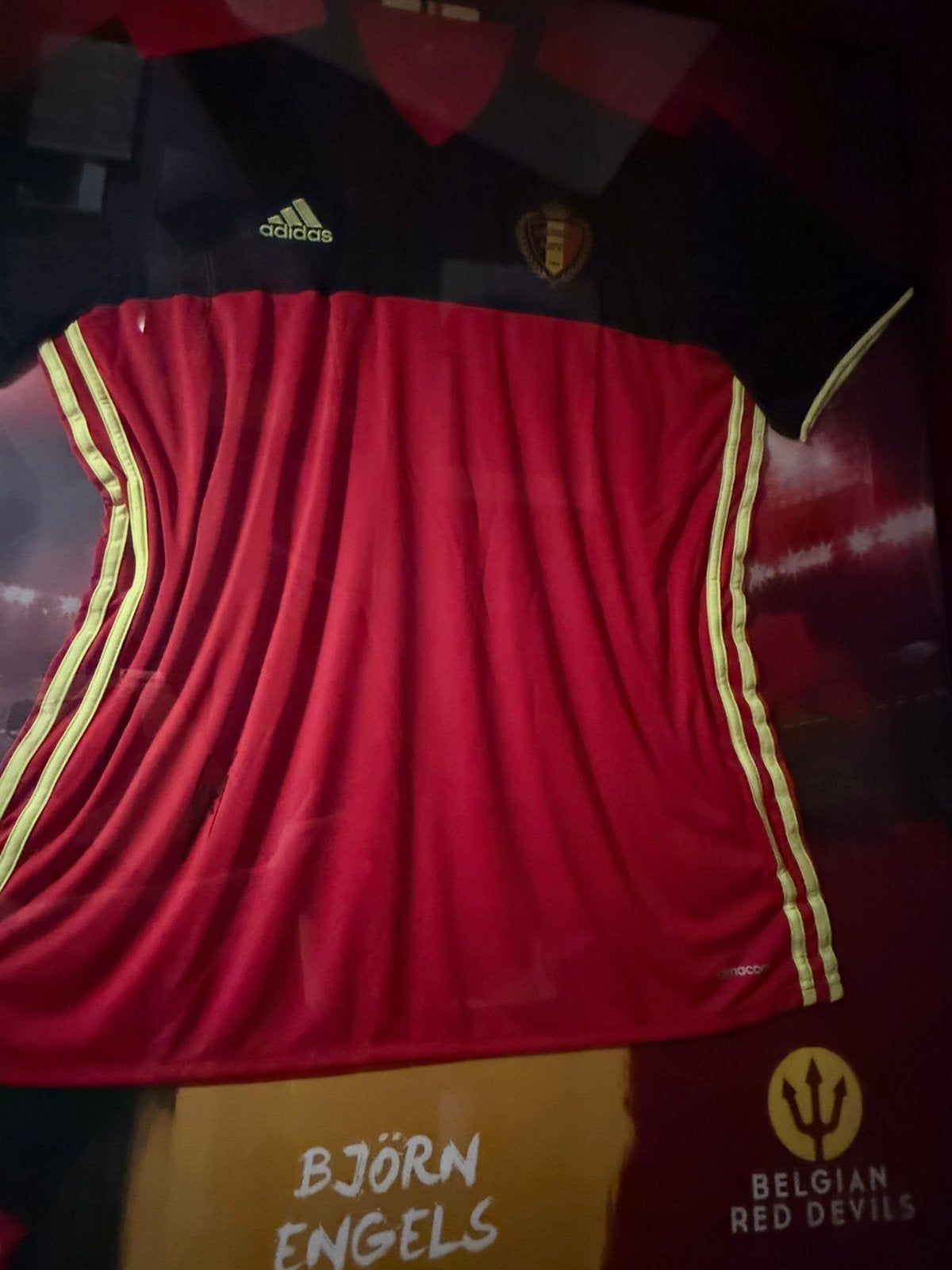 Rode duivel bjorn engels ingekarderd, Ophalen, Zo goed als nieuw, Shirt