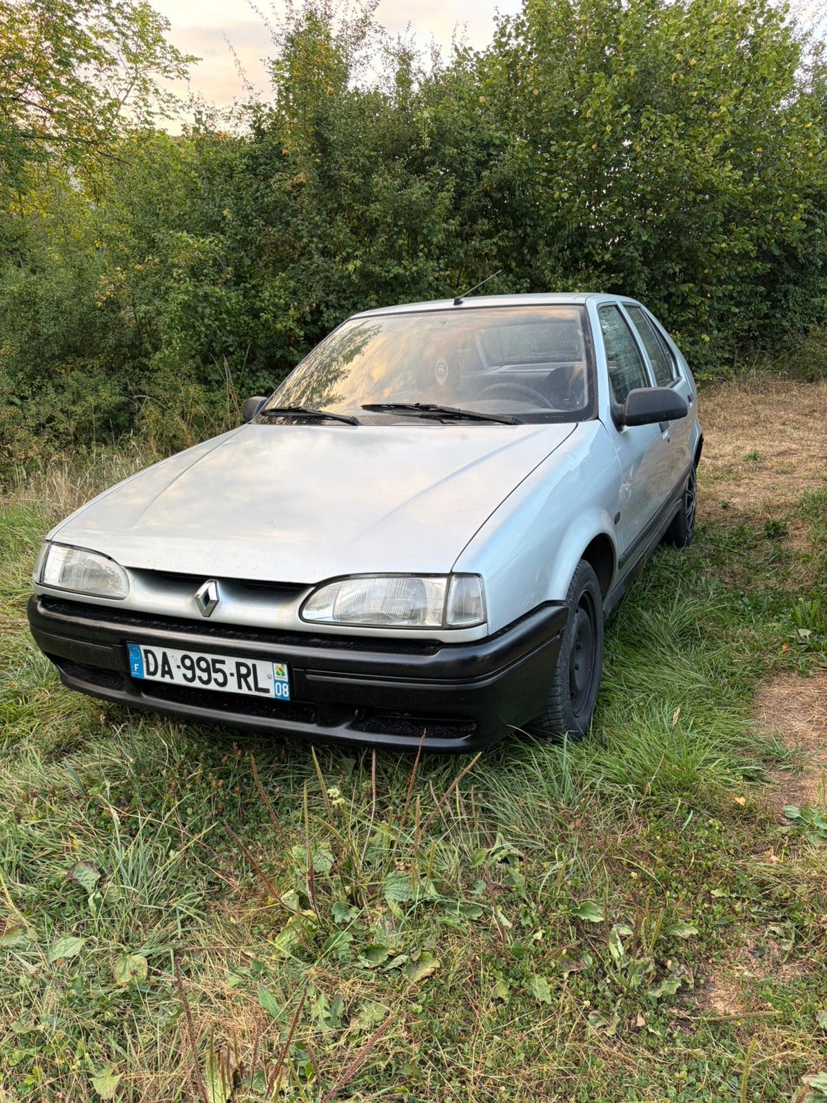Renault 19, Bedrijf, Handgeschakeld, 5 deurs, Te koop