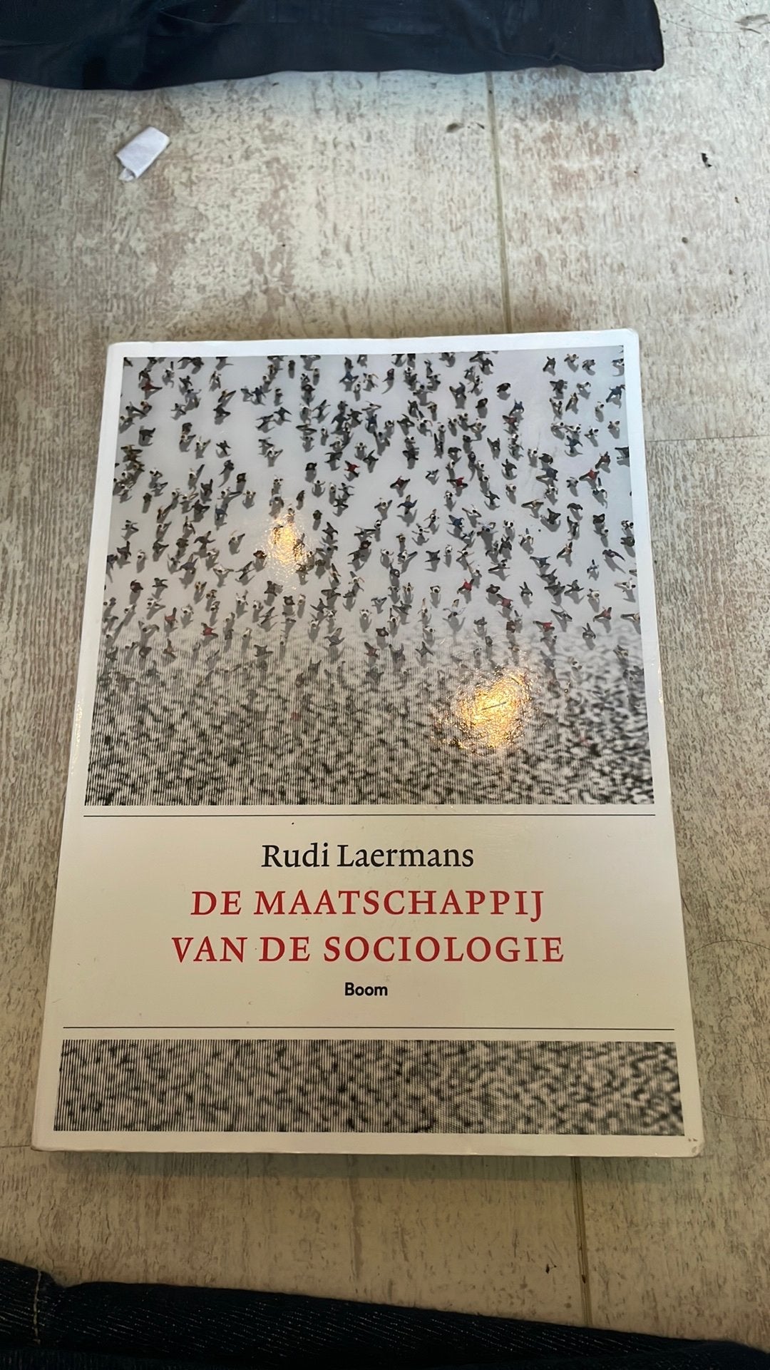Rudi Laermans - De maatschappij van de sociologie, Gelezen, Rudi Laermans, Ophalen of Verzenden, Overige onderwerpen