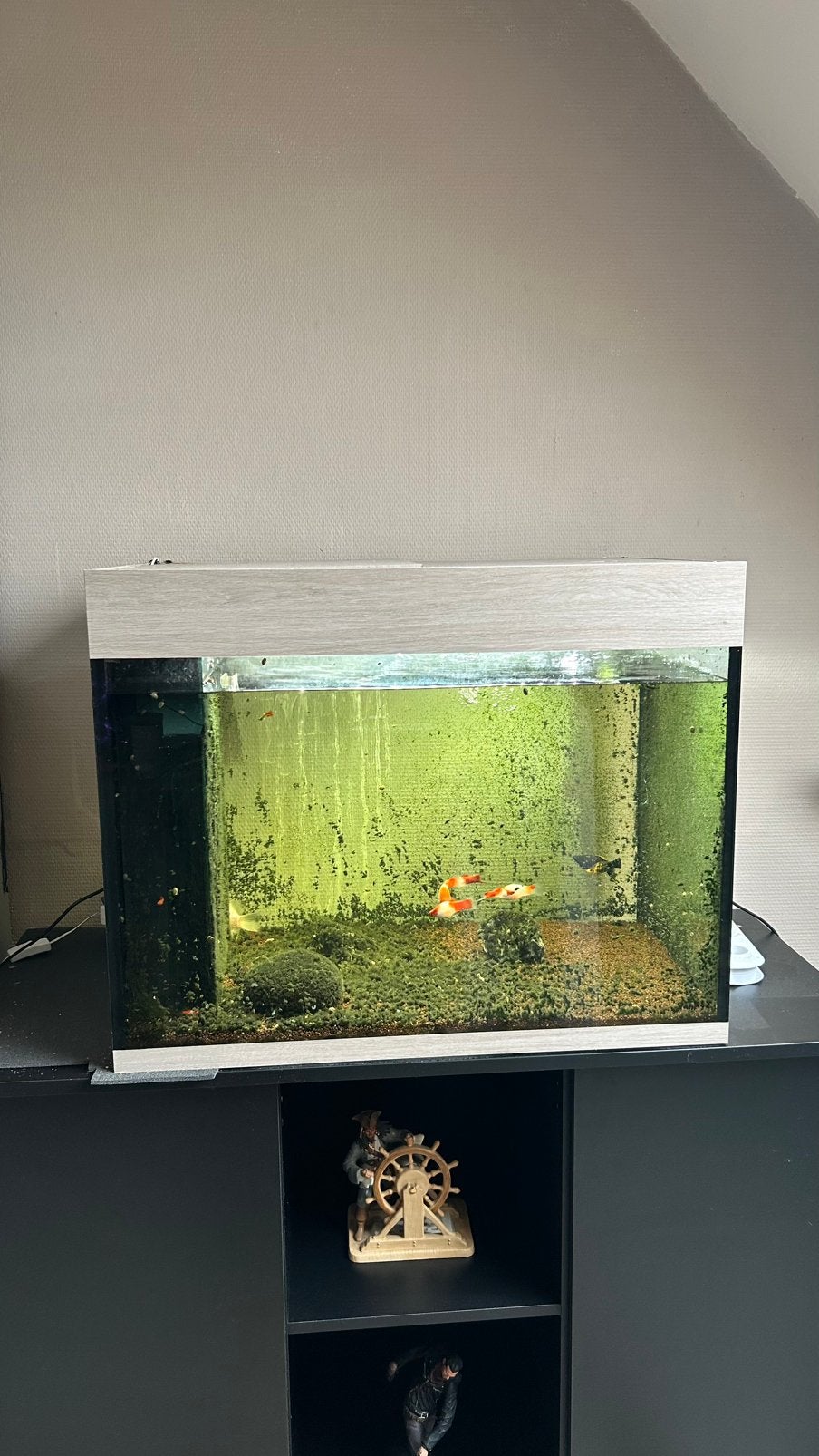 Aquarium van 250 l, Dieren en Toebehoren, Ophalen, Zo goed als nieuw, Aquariummeubel, Overige merken