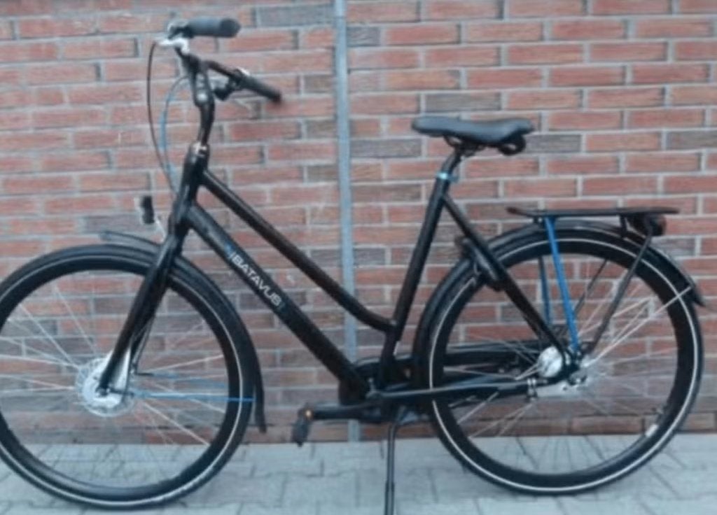batavus damesfiets, Ophalen, Batavus, Versnellingen