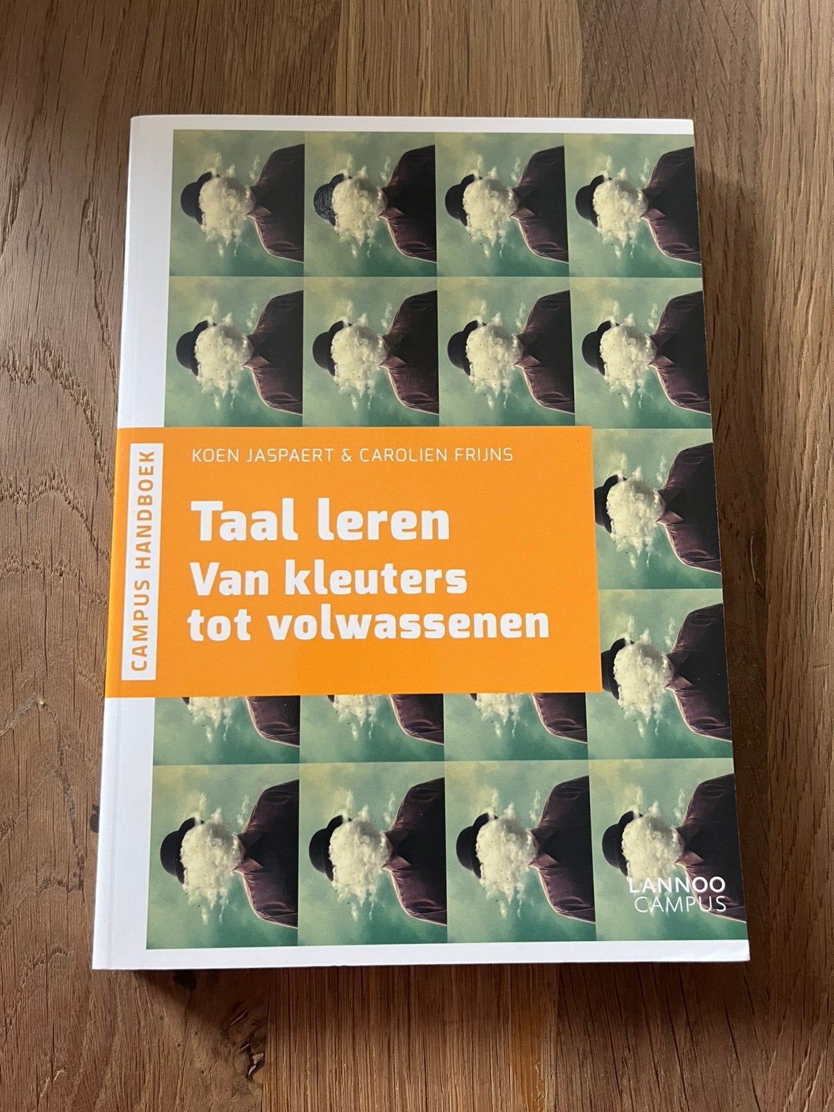 Carolien Frijns - Taal leren, Ophalen of Verzenden, Carolien Frijns; Koen Jaspaert