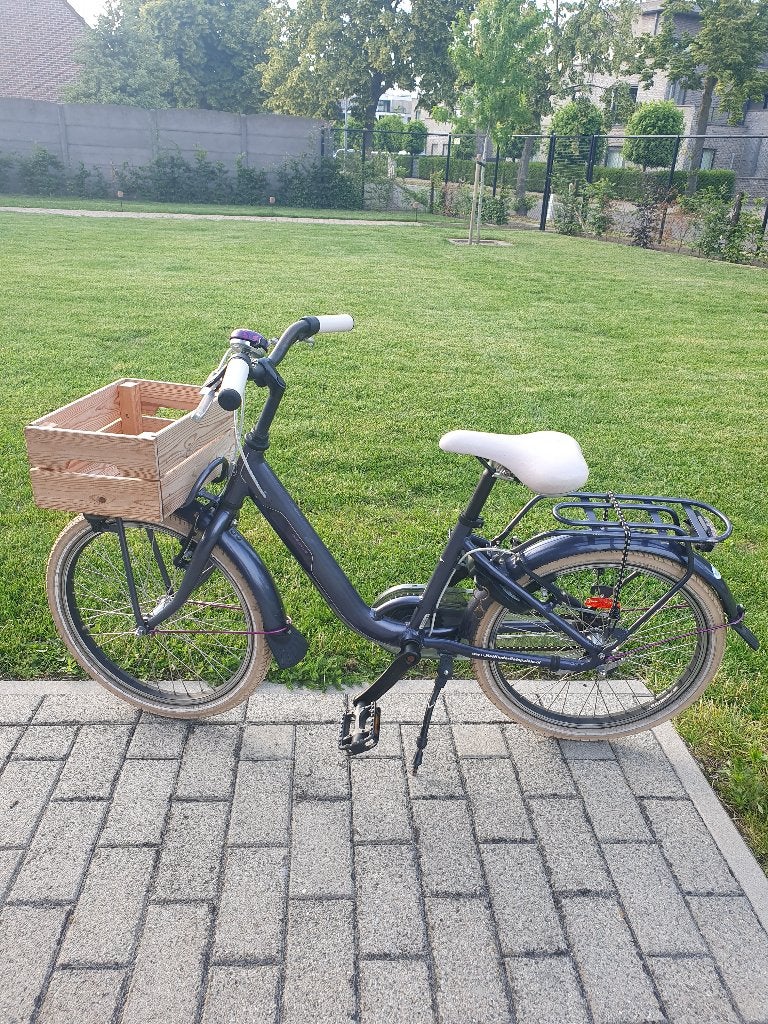 Batavus star 20 inch, Fietsen en Brommers, Ophalen, Terugtraprem, Gebruikt, Batavus