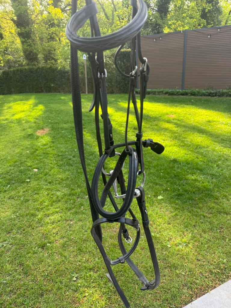 Hoofdstel HFI pony, Enlèvement, Comme neuf