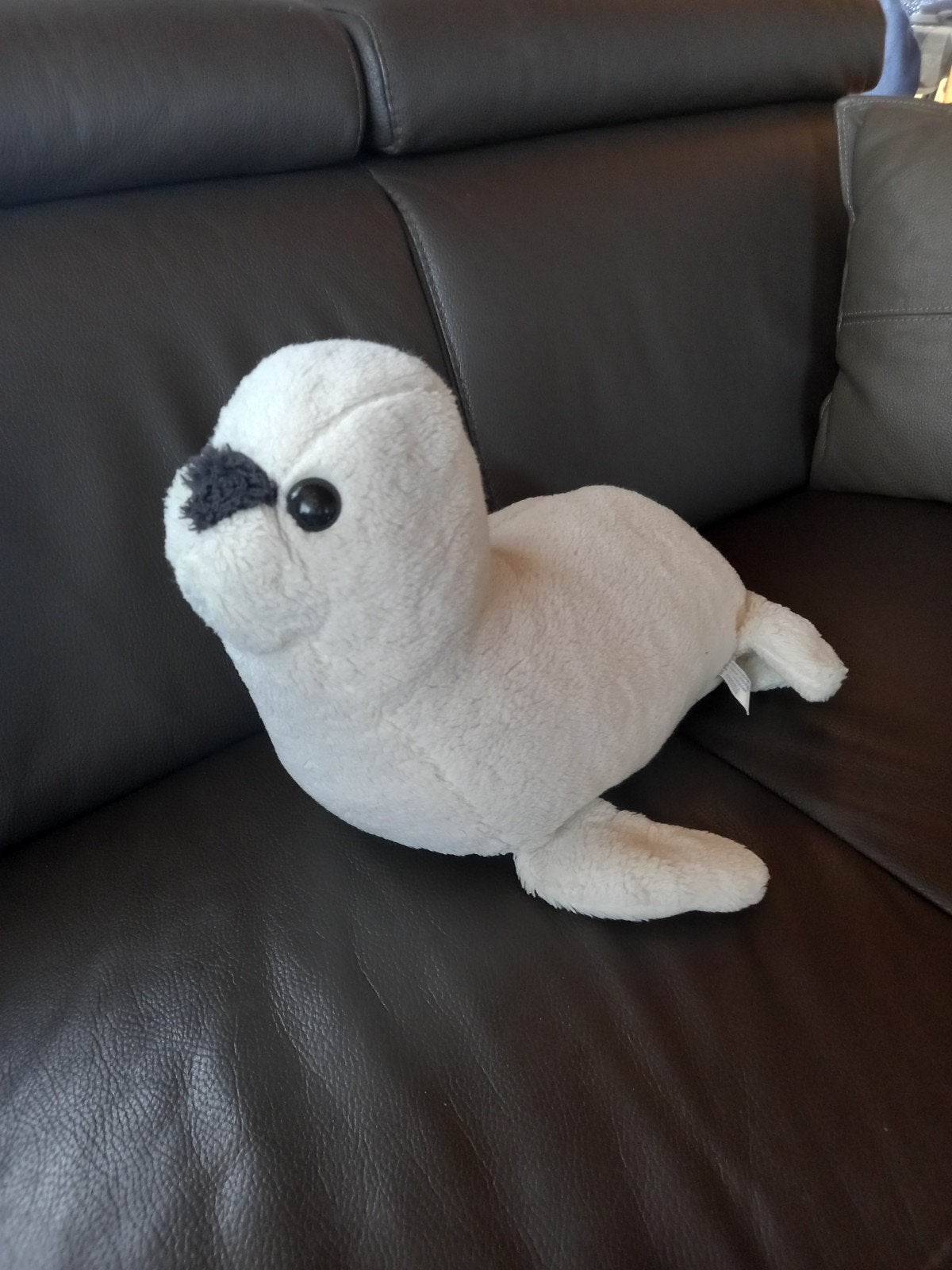 Knuffel zeehond, Ophalen of Verzenden