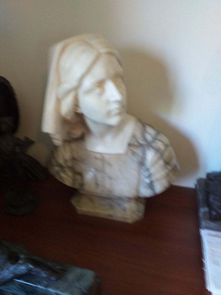 buste de statue en marbre, Antiquités & Art, Enlèvement, Autres matériaux, Statue, Femme