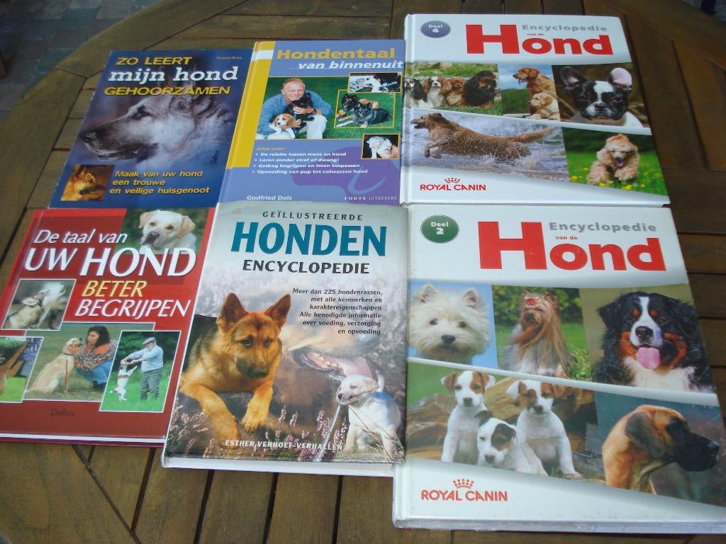6 BOEKEN OVER HONDEN, Ophalen, Zo goed als nieuw