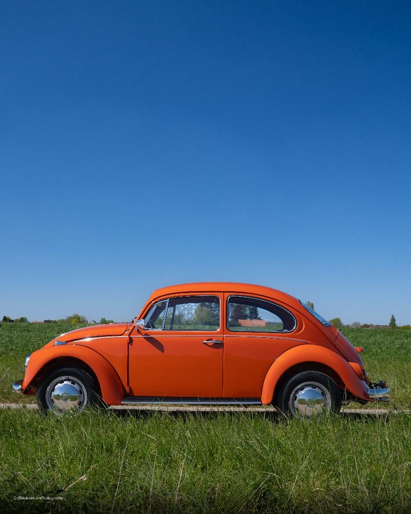Vw coccinelle 1200 anneé 1970 restauré + garantie, Achat, Entreprise, Garantie prolongée, Boîte manuelle
