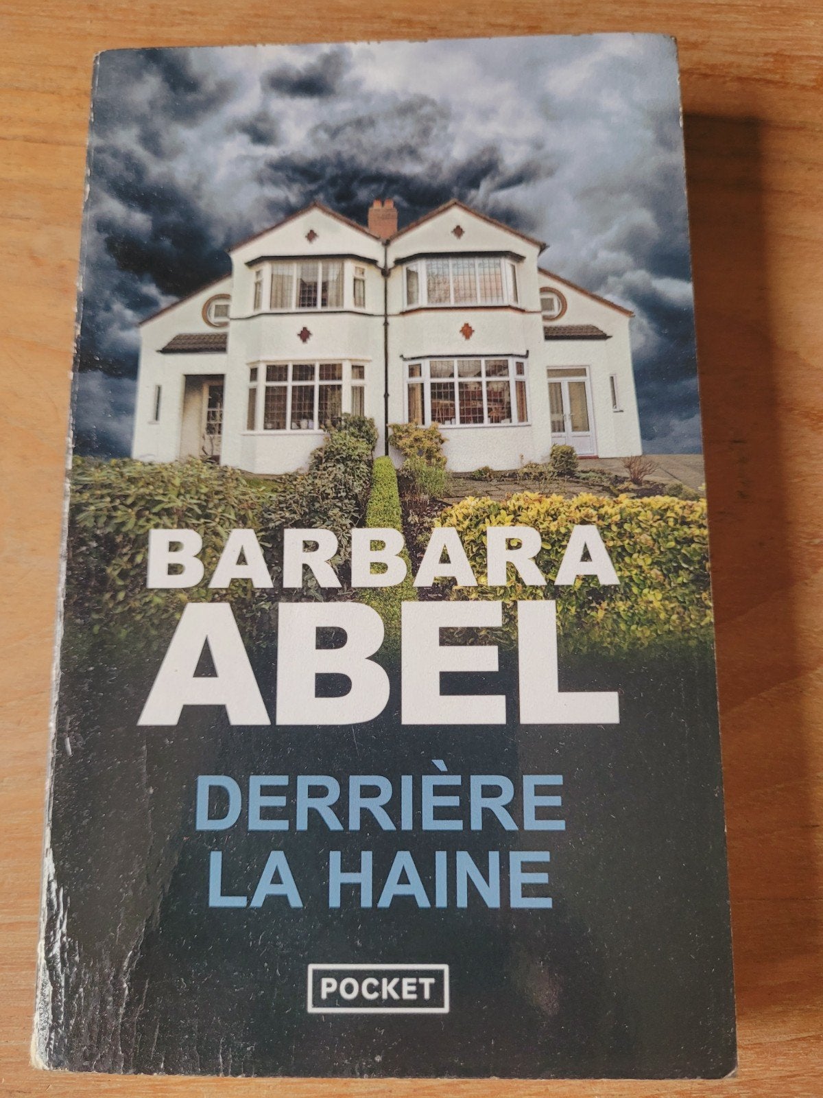 BARBARA ABEL - DERRIERE LA HAINE, Enlèvement, BARBARA ABEL