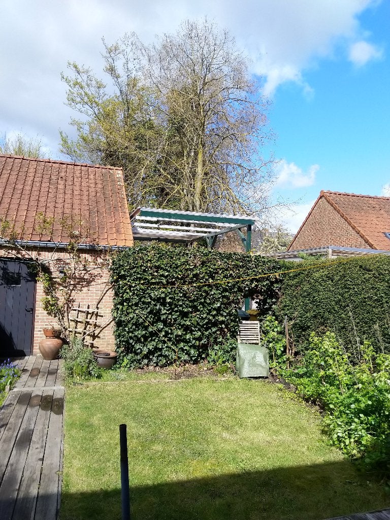 carport voor camper L600 cm x B300cm x H300 cm, Tuin en Terras, Overkappingen, Ophalen, Gebruikt, Carport
