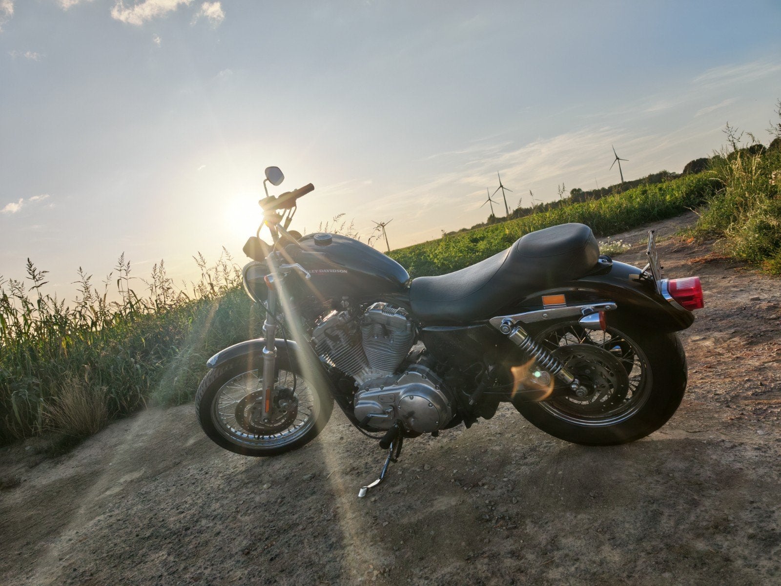 Harley Davidson sportster 883 2006, Motos, Chopper