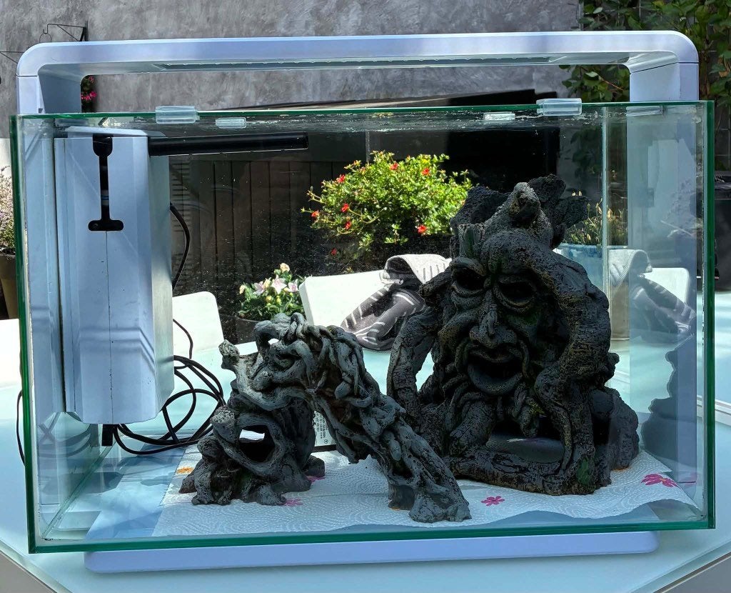 Aquarium, Enlèvement, Comme neuf, Aquarium vide, Superfish