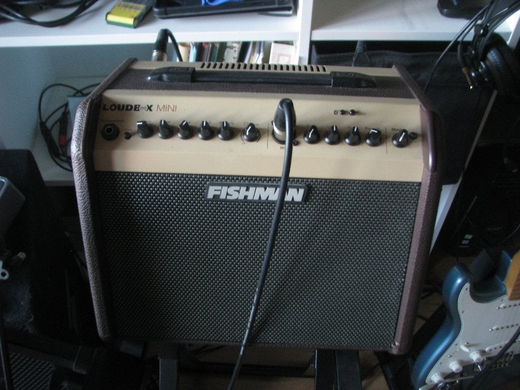 Fishman loudbox mini, Musique & Instruments, Enlèvement ou Envoi, Utilisé, Guitare, 50 à 100 watts