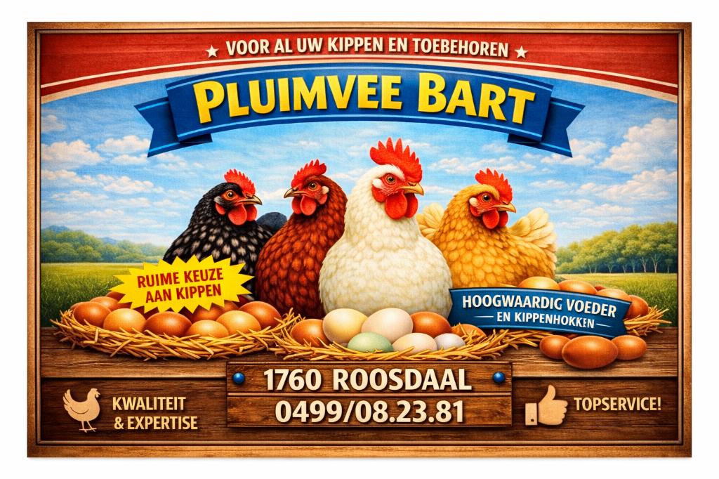 14 mei iedereen welkom bij PLUIMVEE BART, Vrouwelijk, Kip