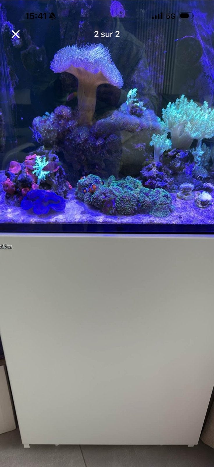 Aquarium red sea eau de, Dieren en Toebehoren, Ophalen