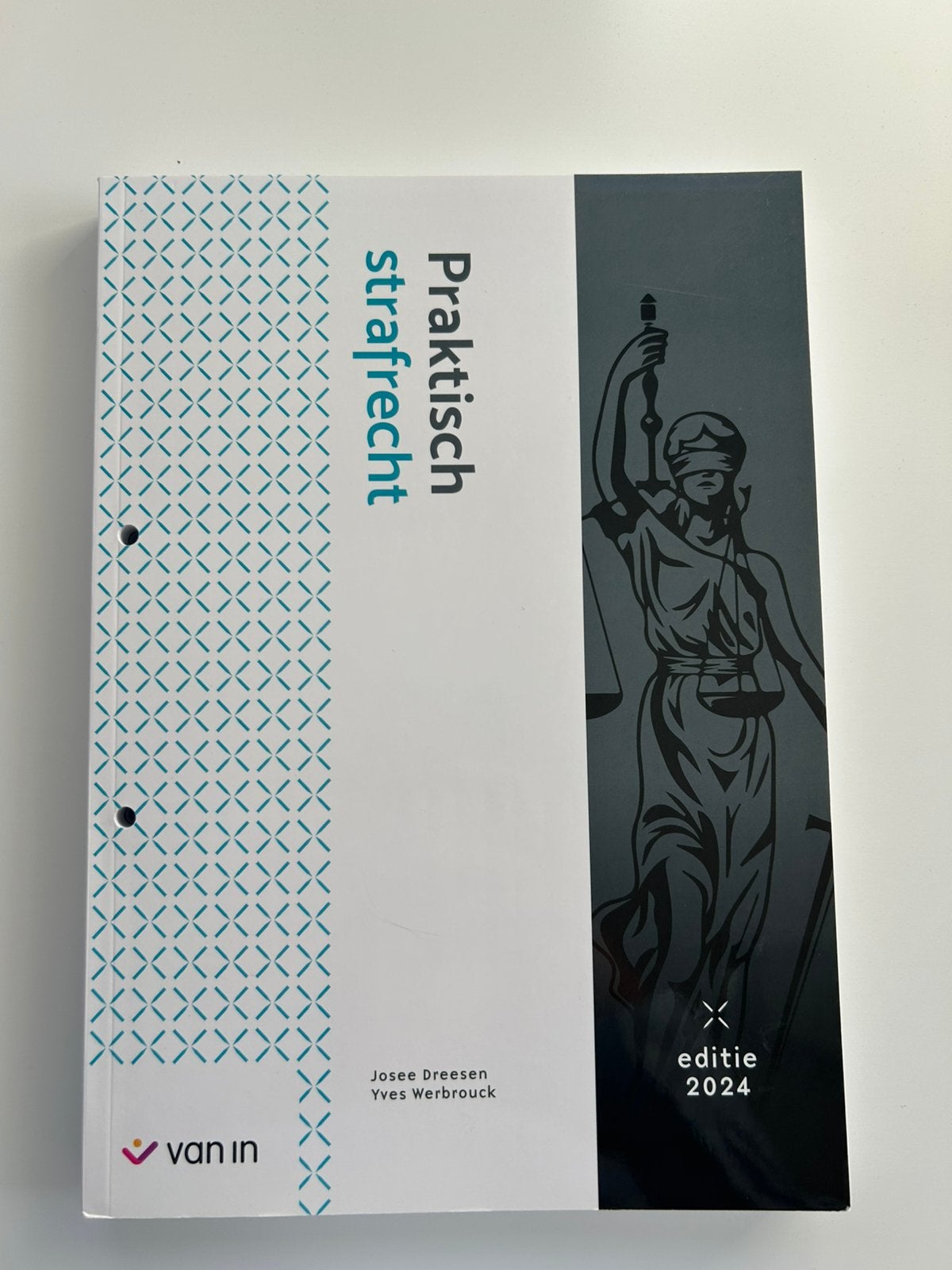 Praktisch Strafrecht @ HoGent Rechtspraktijk, Livres, Enlèvement ou Envoi, Neuf, Autres matières