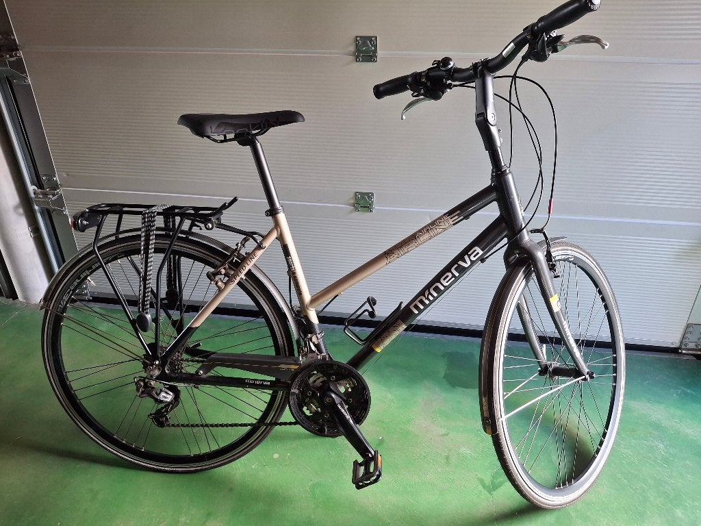 damesfiets, Fietsen en Brommers, Gebruikt, 47 tot 50 cm, Versnellingen, Schijfrem