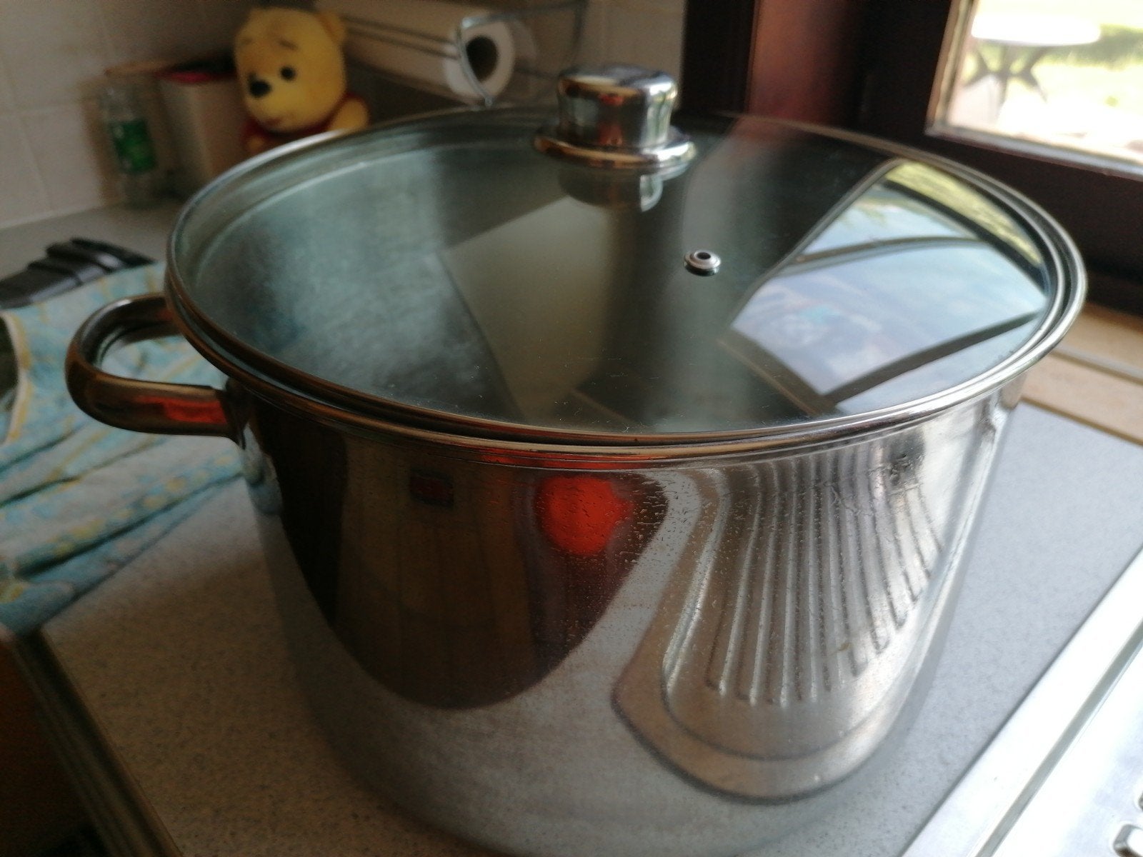 Kookpot met glazen deksel, 10l, Ophalen