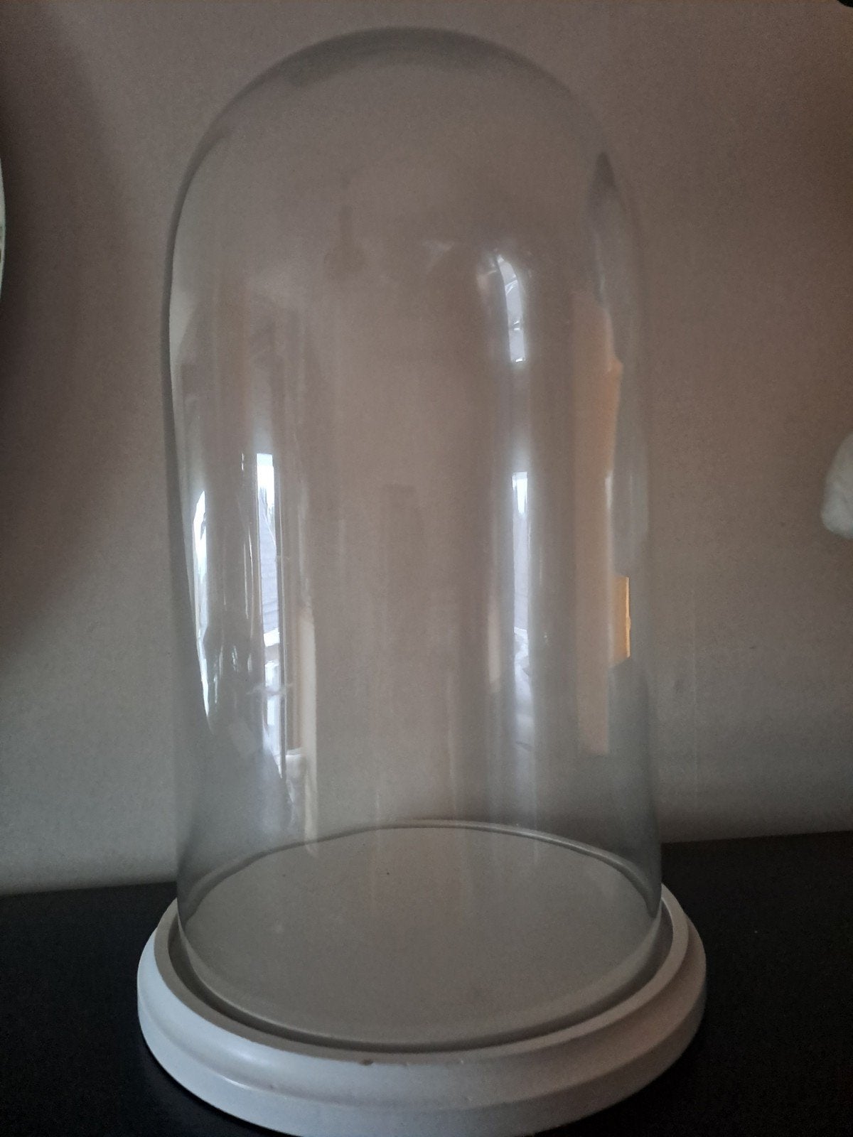 grote glazen  stolp  op wit houten plateau, Huis en Inrichting, Glas, Ophalen, Zo goed als nieuw, 29 cm