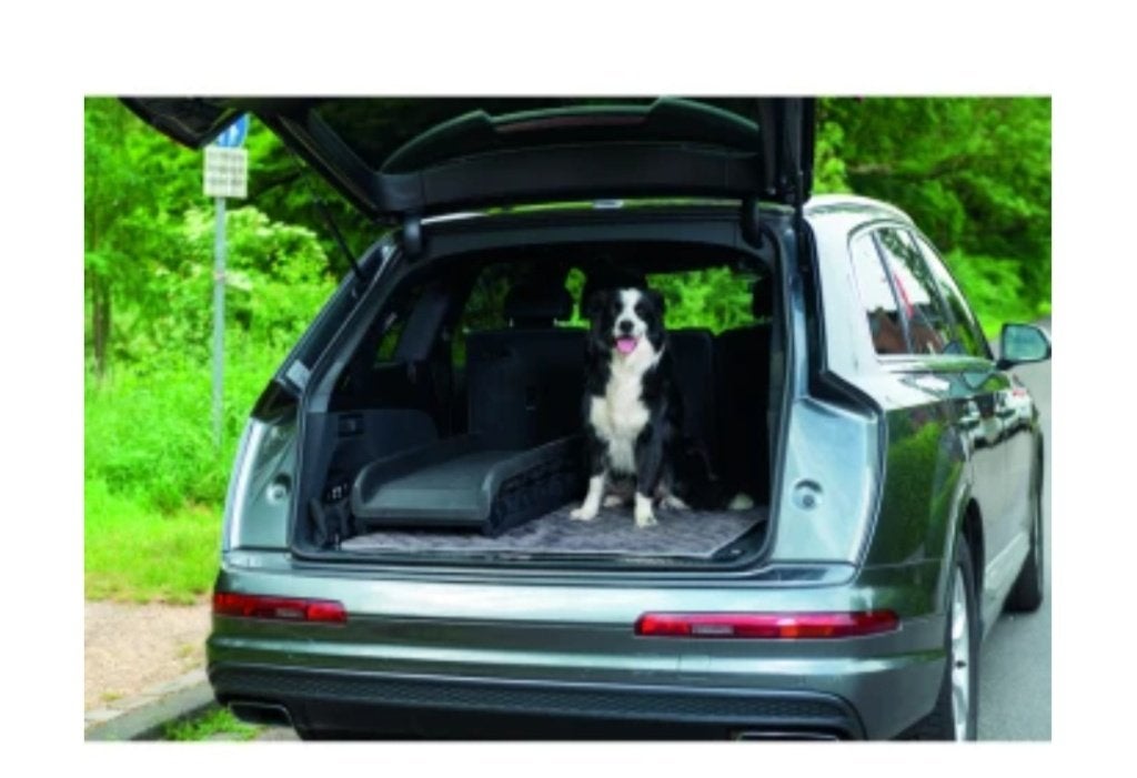 Loopplank hond Ani one, Animaux & Accessoires, Accessoires pour chiens, Enlèvement, Neuf