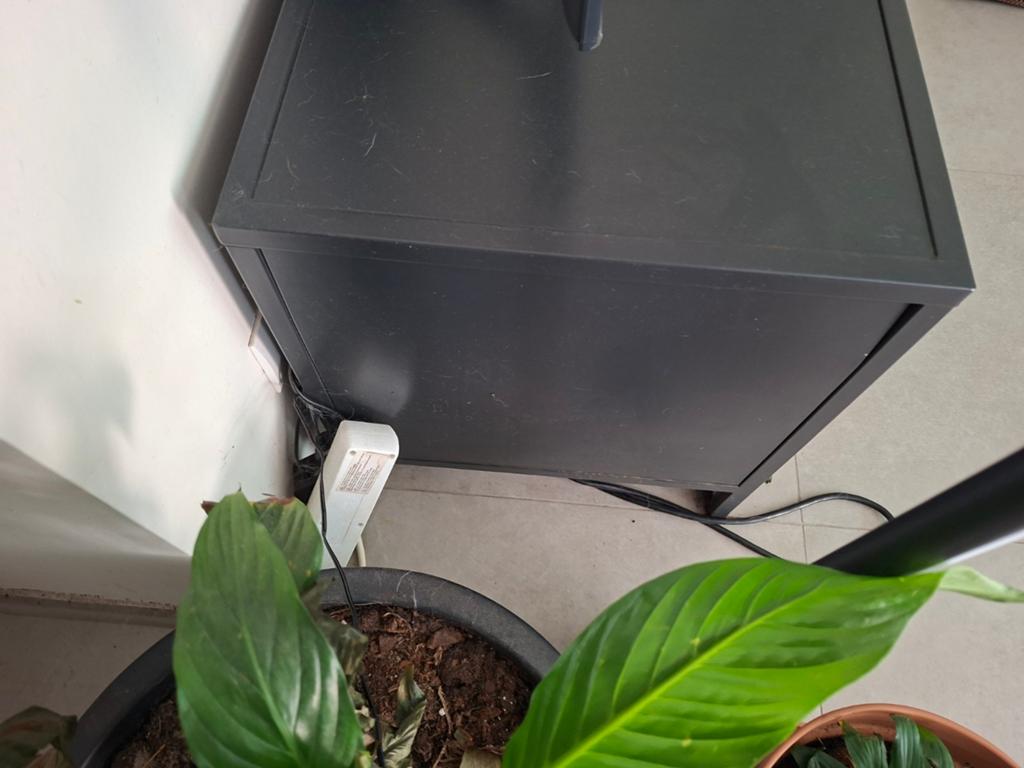Tv kastje gratis, Enlèvement