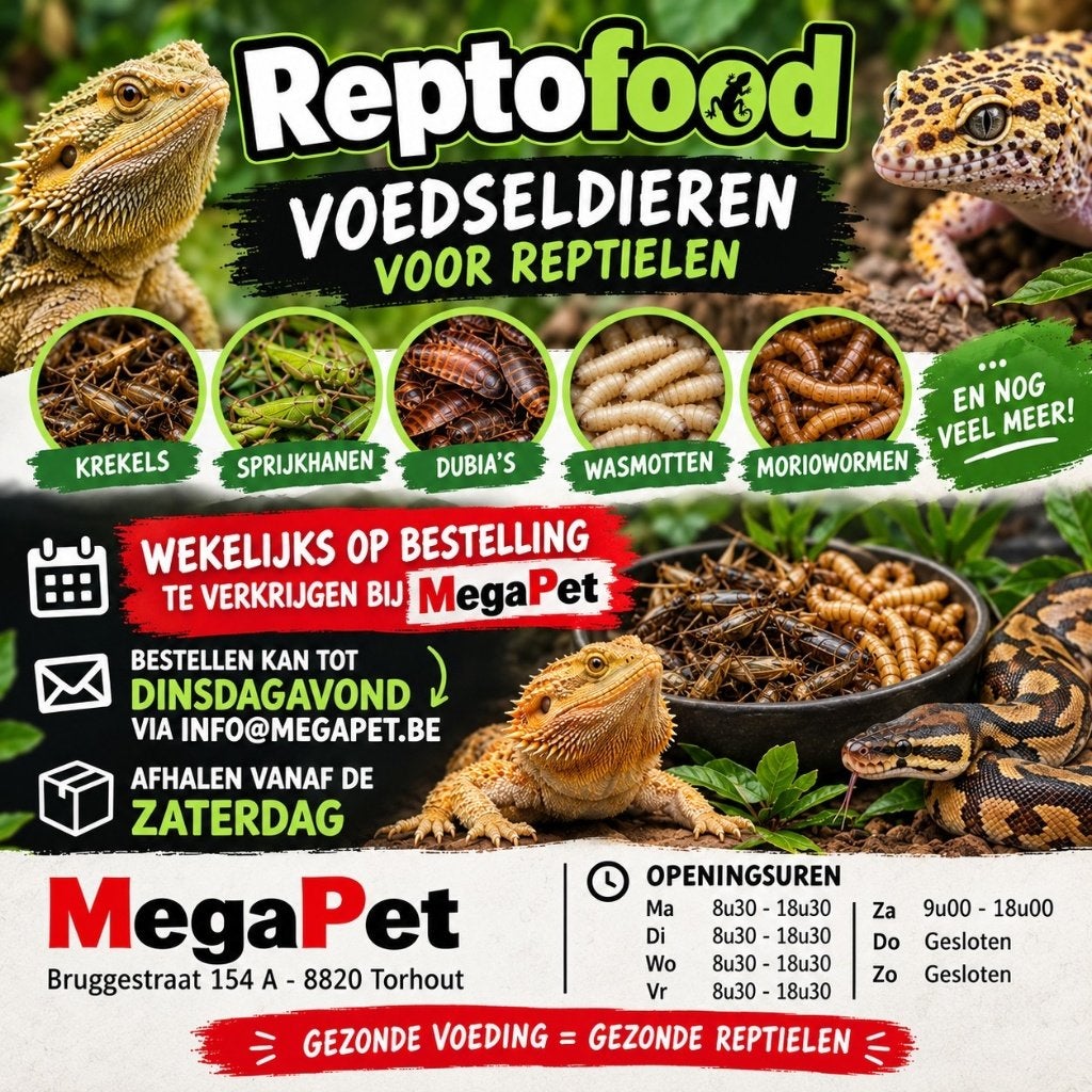 Voedseldieren voor reptielen, Dieren en Toebehoren
